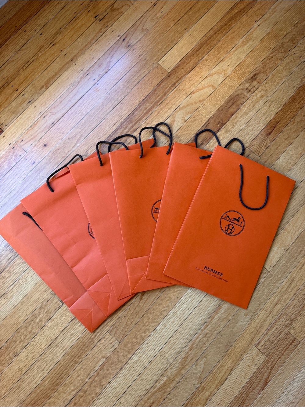 Hermes Shopping Bags - Set of 6